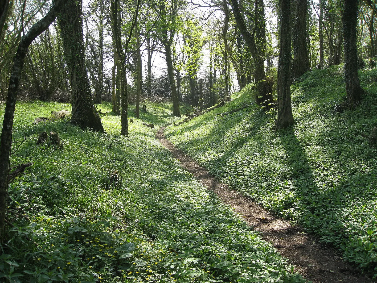 Denbury Hill